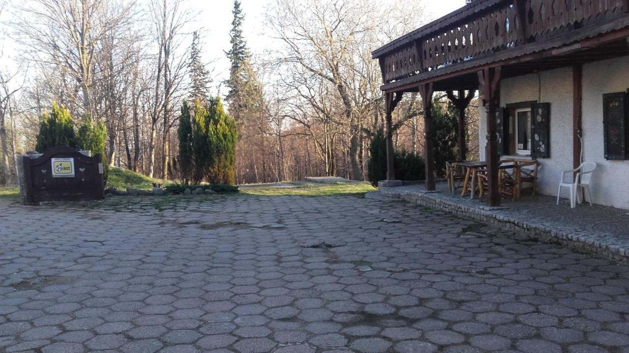 Willa Urocza 호텔 카르파츠 외부 사진